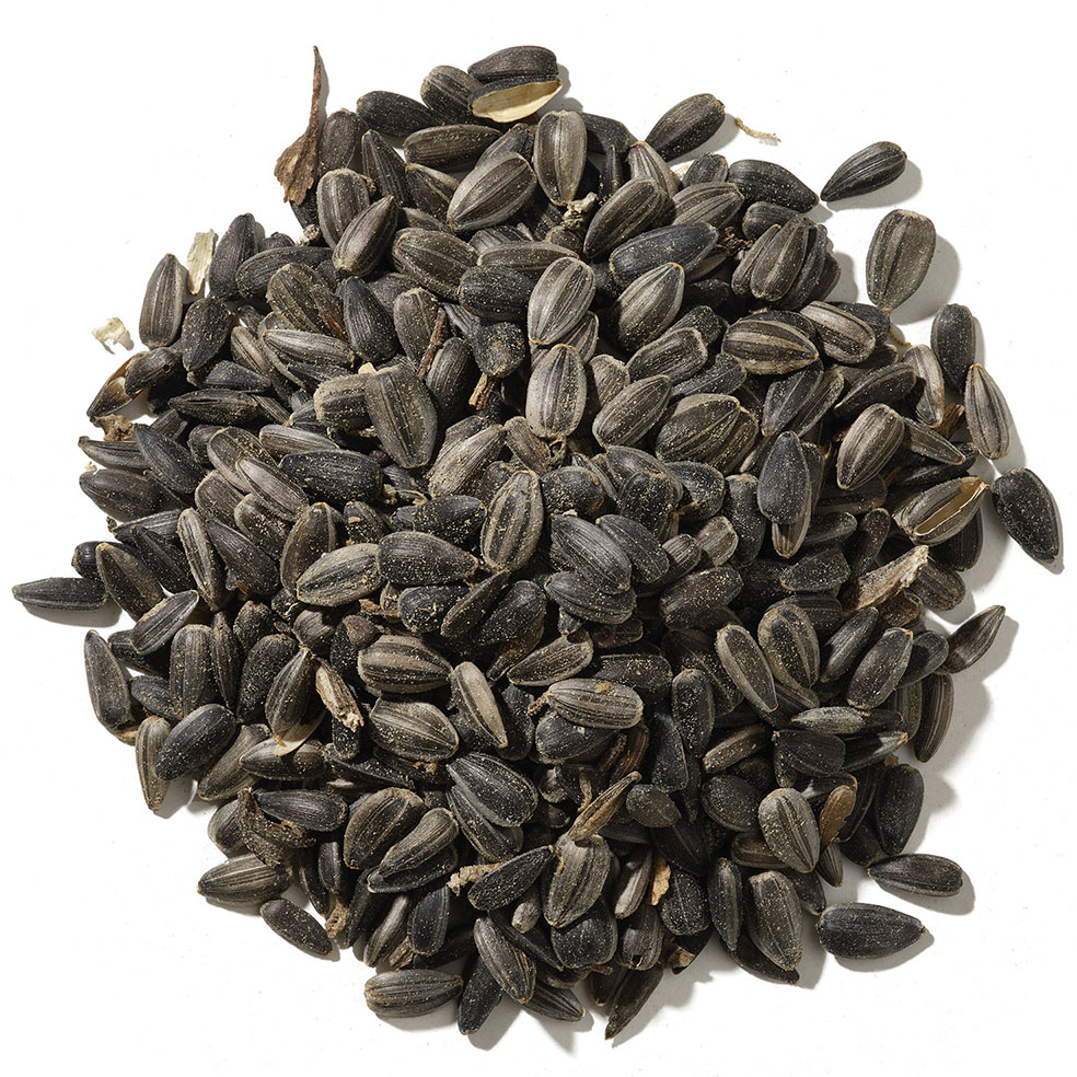 SFF biofiller